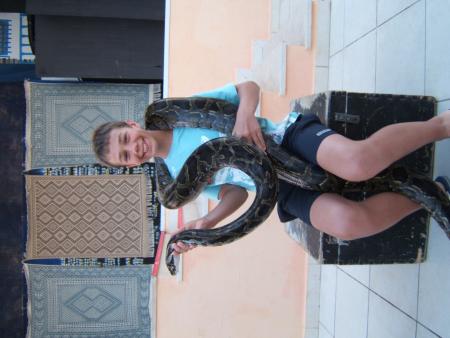  revoila toma